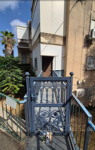 בר גיורא 51