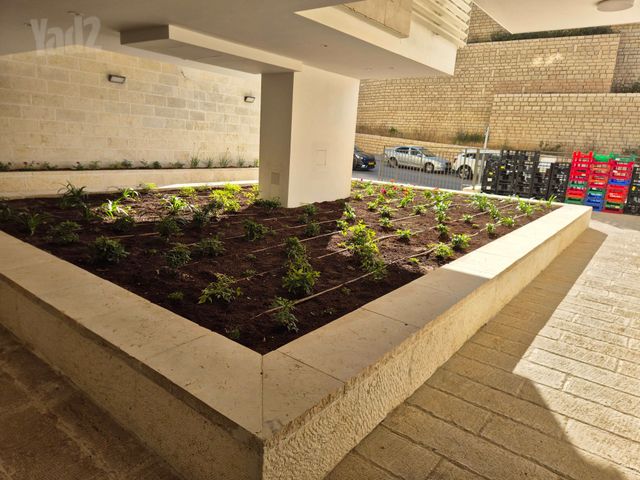 פרופסור יעקב נאמן 