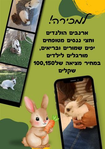 תמונת מודעה - חיות מחמד