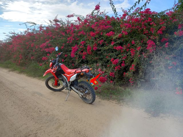 מודעת רכב הונדה CRF250L