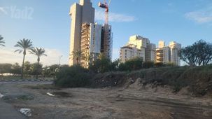 שמעון ויזנטל 1