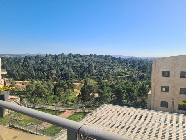 אורן 36