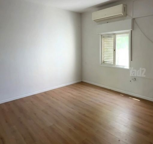 שדרת הפיקוסים 1