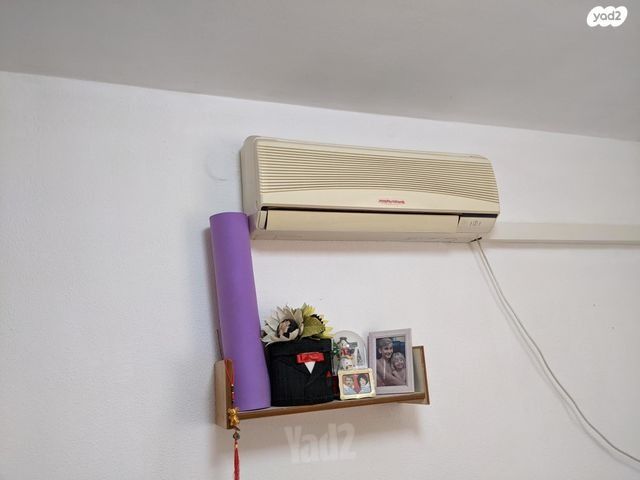 התימורים 25