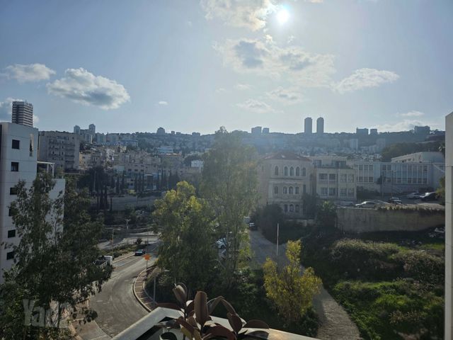 ואדי סאליב 10
