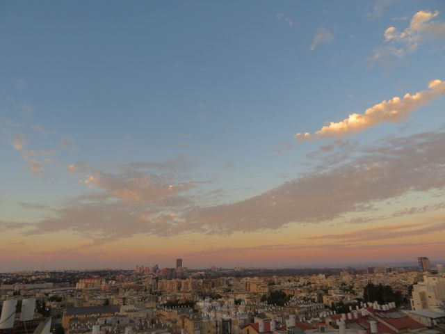 חיים פרל 24