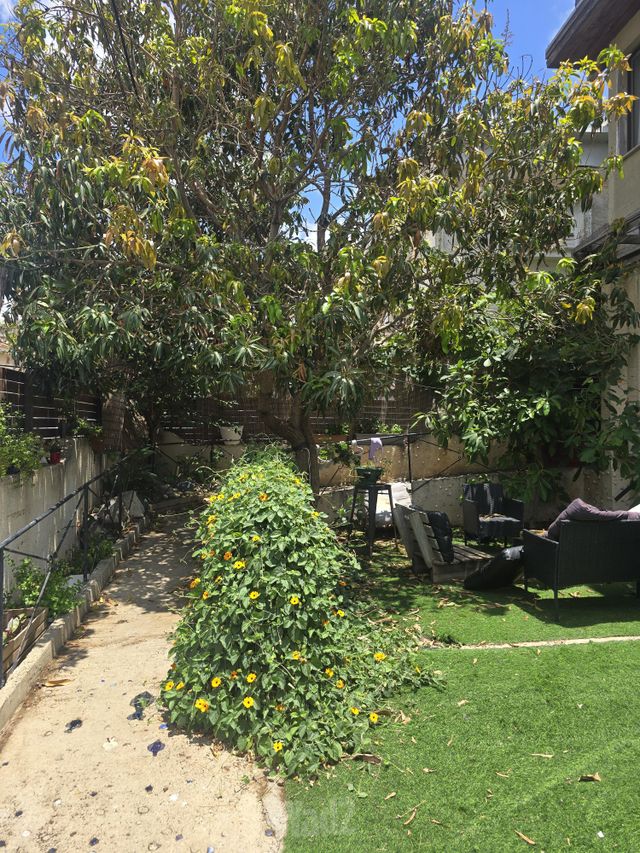 דירת גן, קרן קיימת לישראל 53, גבעת אולגה, חדרה
