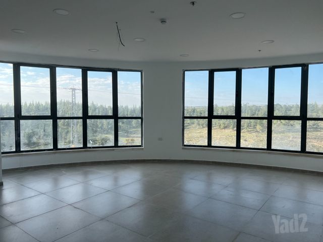 רימון 1