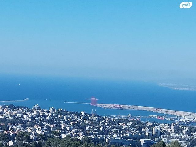 חבצלת 