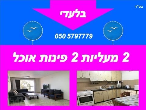 דוד פרנקפורטר 30