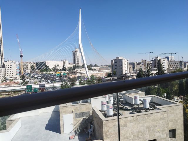 הרב ניסנבוים 