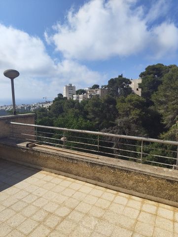דירת גן, כבירים, חיפה