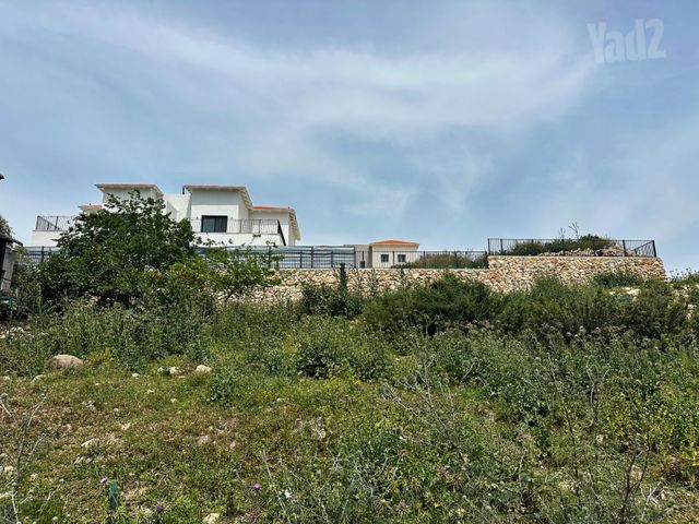 דו משפחתי