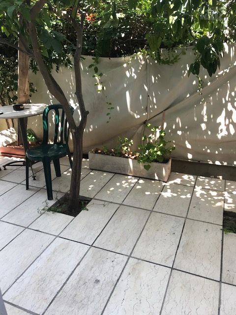 וייצמן 