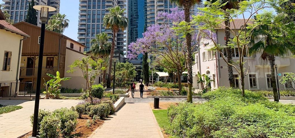דירה להשכרה בתל אביב יפו (תיווך) — 5