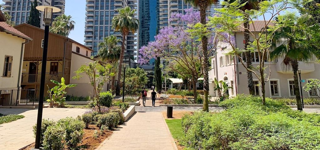 דירה להשכרה בתל אביב יפו (תיווך) — 3