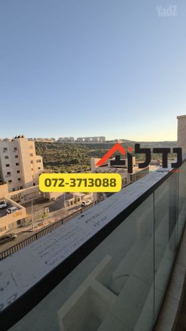 שדרות נחל צאלים 