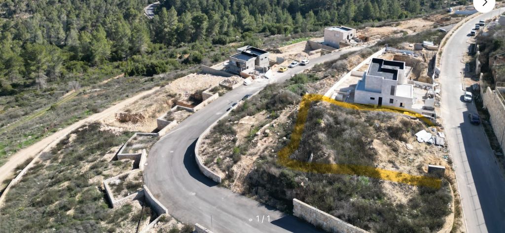 ברקת 1
