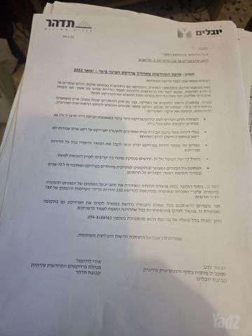 דקל 12