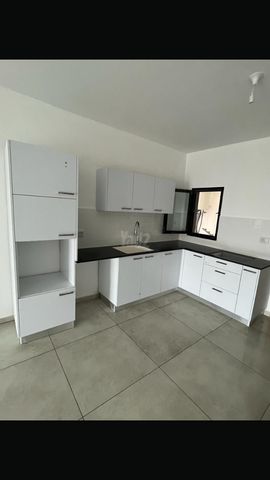 אריאל שרון 15