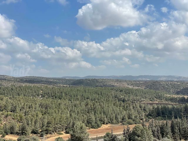 האחים 8