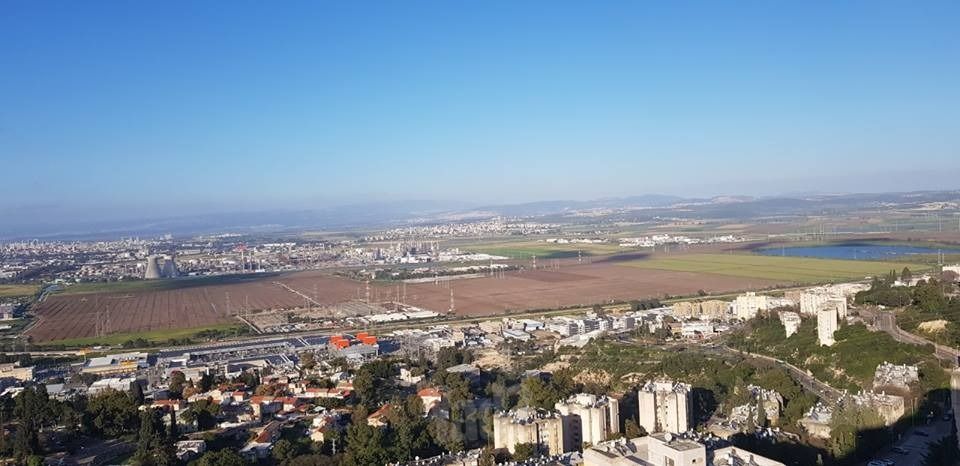 השושנים 36