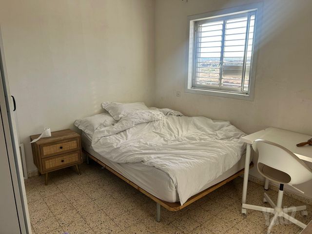 הברבור 11