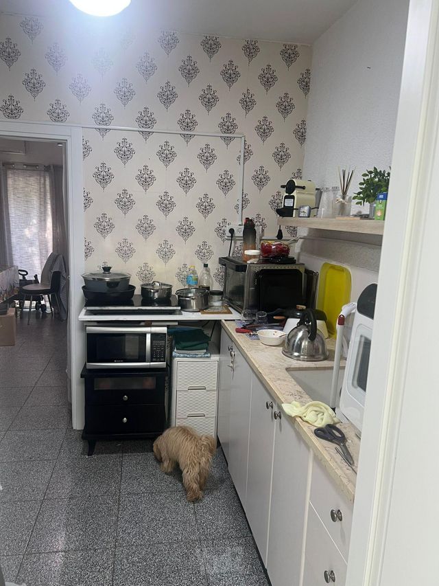 דירת גן, קהילת ורשה 87, הדר יוסף, תל אביב יפו