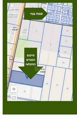 ברנדייס 
