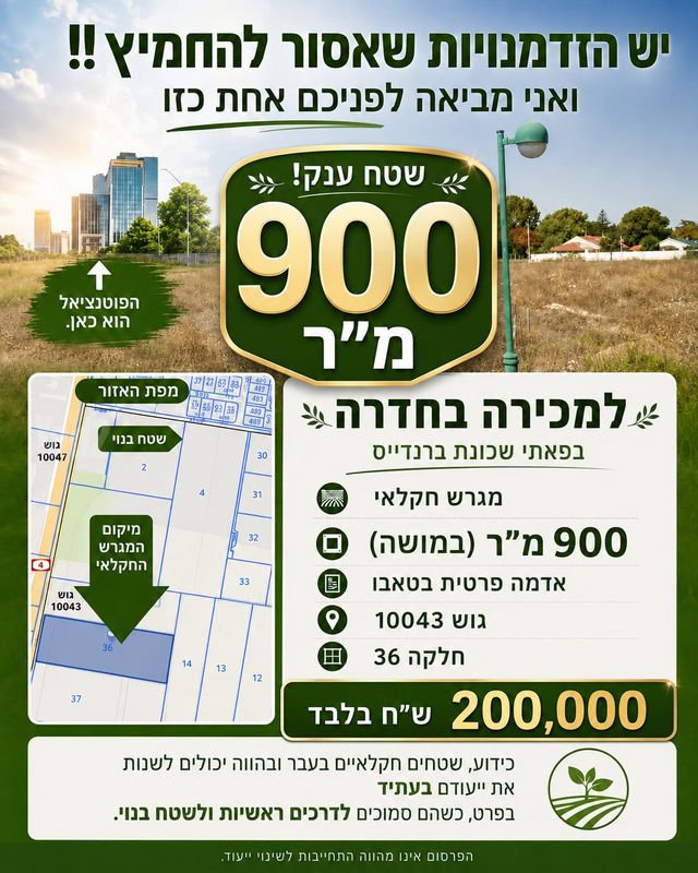 מגרשים, ברנדייס, ברנדייס, חדרה