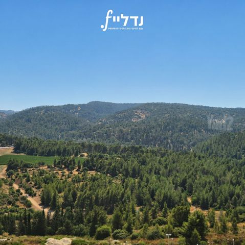 פרנקל 