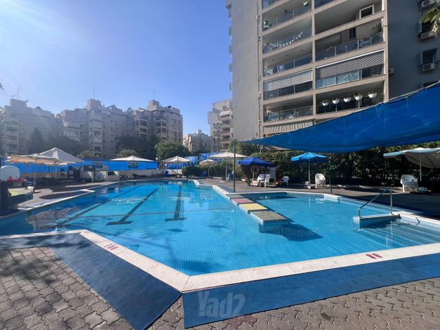 משה דיין 