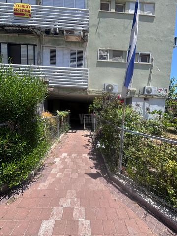 הרב הרצוג 