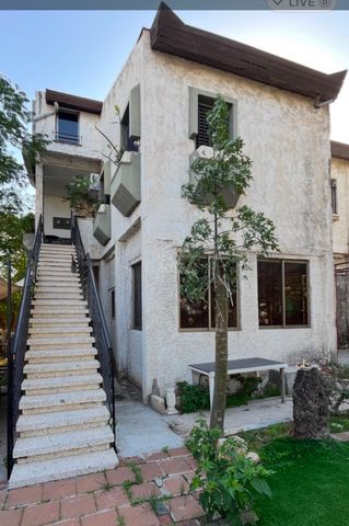 דוד המלך 