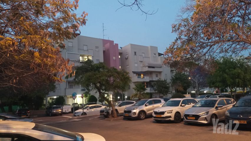 דליה 12