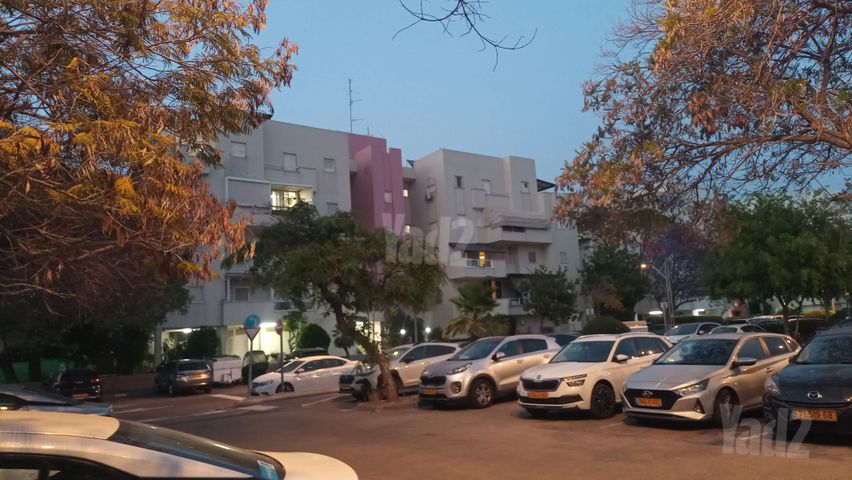 דליה 12