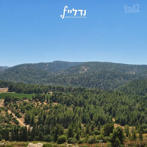 פרנקל 