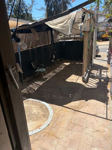 החשמונאים 