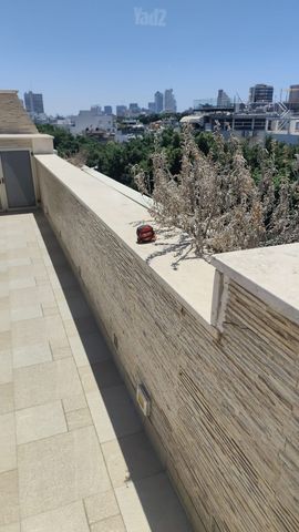 דיזנגוף 