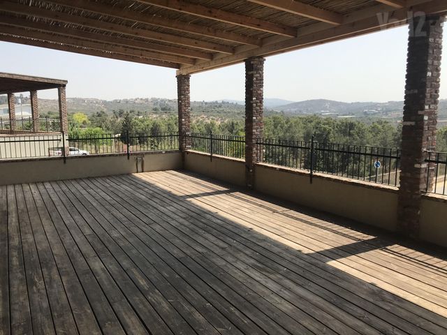 ערבה 31