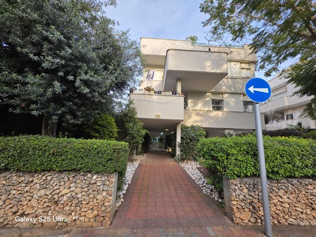 סוקולוב 13