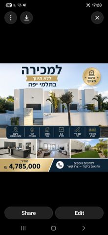 הדקל 1