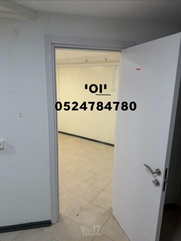 דוד וולפסון 29