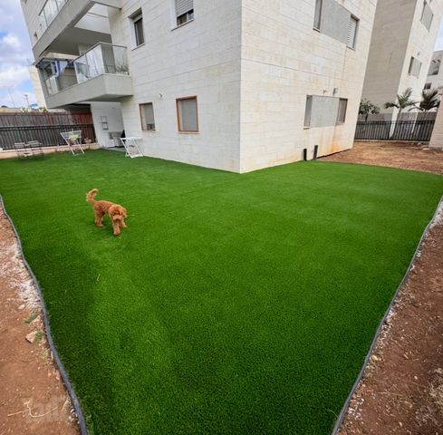 רמת הגולן 12