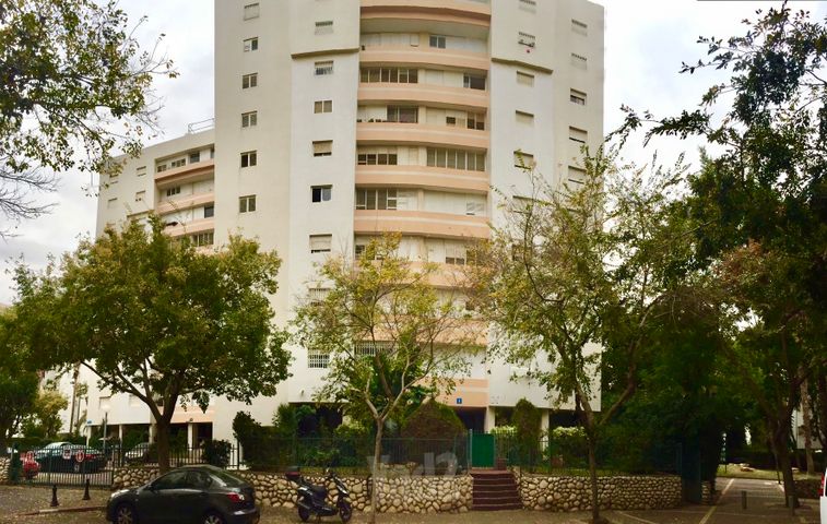 צלילי חנינא 11