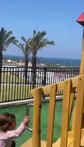 הזית 3