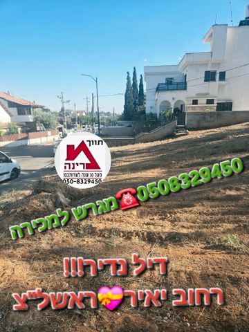 יאיר 