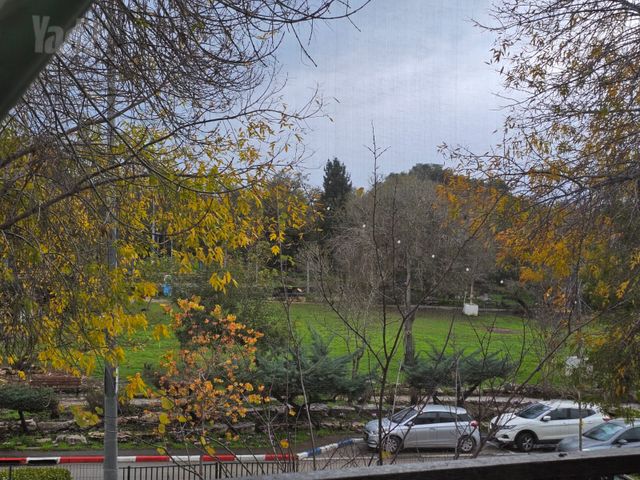 דירה