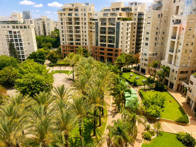 אביגדור סטימצקי 