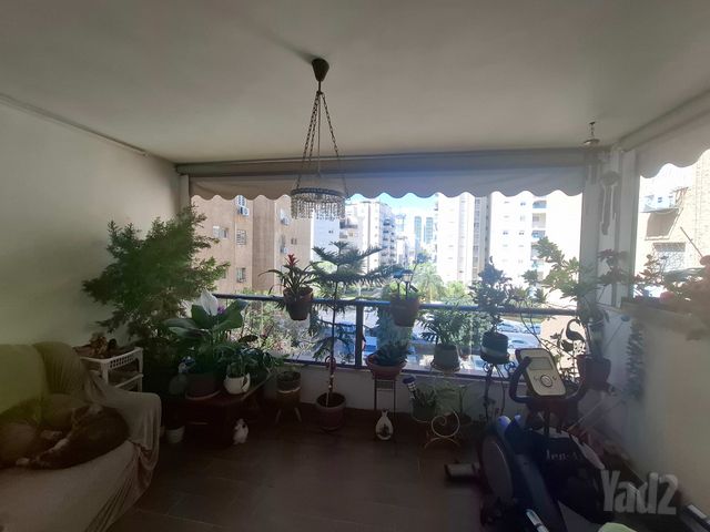 הרב מיימון 18